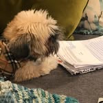 Elizabeth Hackney - @ib_hack_attack - Instagram