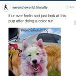 Elizabeth - @elizabeth_halverson - Instagram