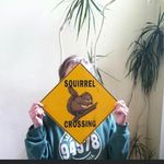 @elizabeth.harman.161 - Instagram