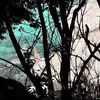 elizabethharsh25 - @elizabethharsh25 - TikTok