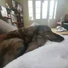 Elizabeth Hedges - @elizabethhedges1 - TikTok