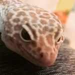 Elizabeth Hedrick - @elizabeth._.321 - Instagram
