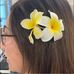 Elizabeth Hwang - Facebook