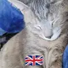 elizabethimesonin - @elizabethimesonin - TikTok