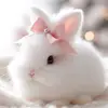 🎀Elizabeth Jiménez🎀 - @elizabeth.jimnez44 - TikTok