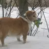 Elizabeth...jim - @elizabeth.jim1 - TikTok