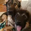 elizabethkeating43 - @elizabethkeating43 - TikTok