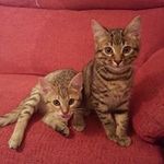 Elizabeth Keeling - @keeling.elizabeth - Instagram