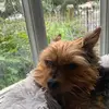 Elizabeth Kenyon - @elizabethkenyon5 - TikTok