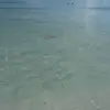 Elizabeth Keyes307 - @elizabethkeyes15 - TikTok