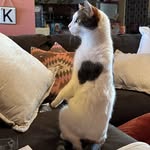 Elizabeth Knutson - @eknutson89 - Instagram