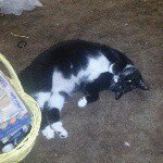 elizabeth knutson - @beths_buddies77 - Instagram