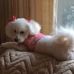 Elizabeth Kulick - @elizkulick - Instagram