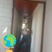 Elizabeth Labbe Romo - Facebook