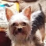 Elizabeth LaMonica - @lizlamonica - Instagram