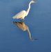 Elizabeth Lanham - Facebook