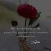 Elizabeth Leaños Barajas - @elizabeth.leaos.b - TikTok