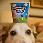 Elizabeth Lemon - @icecream_worldwide - Instagram