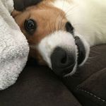 Elizabeth Lemon Juice - @elizabethlemonjuice - Instagram