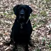 elizabethlepper46 - @elizabethlepper46 - TikTok