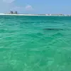 Elizabeth Lessa - @elizabeth.lessa - TikTok