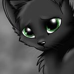 volchek - @elizabeth_level_ - Instagram