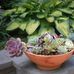 Elizabeth Low - Facebook