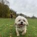 Elizabeth Mach - Facebook