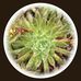 Elizabeth Maddock - Facebook