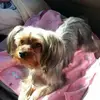 Elizabeth Markham-Huntley - @elizabeth.markham - TikTok
