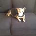 Elizabeth Mattern - Facebook