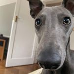 Elizabeth McDade - @lizbsmall - Instagram