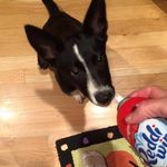 Elizabeth McDade - @fstopcritter - Instagram