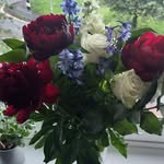 Elizabeth McDade - @elizabeth.mcdade.12 - Instagram
