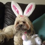 Elizabeth Selkirk - @elizabeth.mcdade.182 - Instagram