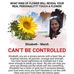 Elizabeth Masdo Mclean - Facebook