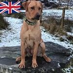 Sarah Elizabeth McErlean - @sarahelizabethmcerlean - Instagram