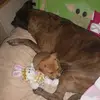 Elizabeth Mchenry - @elizabeth.mchenry - TikTok
