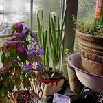 Mary Elizabeth McLemore - @integrated.wellness - Instagram