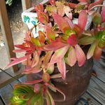 Mary McLemore - @maryelizabethmclemore - Instagram