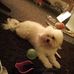 Elizabeth Mc Mcphee - Facebook