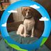 Elizabeth Milner - Facebook