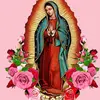 Elizabeth Mexico 24 - @elizabethmorando - TikTok