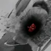 @ tu morenita 111 - @elizabethmorel848 - TikTok