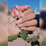 Elizabeth Nail - Facebook