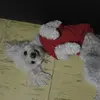 Elizabeth Nero - @elizabethnero0 - TikTok