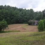 Elizabeth G Nickell - @farmfamilypeace - Instagram