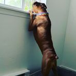 Elizabeth Over - Facebook