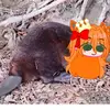 WHOS IN MY ACC - @elizabethbover - TikTok