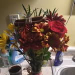 Elizabeth Parson - @parsonpoetry - Instagram
